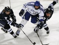 开云体育官方网站-钢铁巨人碾过汽车城，青涩竹笋破土新生