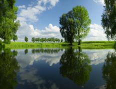 开云APP-浓眉攻防转换成胜负手 凯尔特人强势击溃北京队