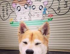 开云体育登录-罗德里，牙买加风暴中的定海神针，硬仗之王撕裂利物浦中场