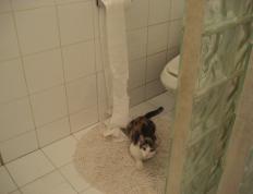 开云体育app-深圳猎豹大战芝加哥公牛，库里的制胜三分改写篮球史