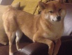 开云体育官方网站-2026世界杯之夜，基米希数据全面爆炸，德国中场统治战局