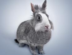 开云平台-绿茵场上的沙漠征服，卡塔尔如何踏平非洲雄狮塞内加尔