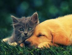 开云体育app-胡金秋爆发助开拓者强势晋级，广厦队稳扎稳打铸就胜利