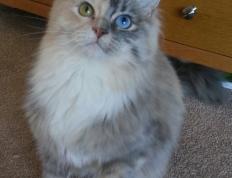 开云体育APP下载-当大帝降临五棵松，恩比德末节19分撕裂北京队防线