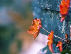 开云体育下载-横扫！拜仁制造欧冠淘汰赛惨案