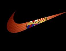 开云体育下载-冰与火的对决，布鲁诺惊鸿一击，撕裂午夜阳光下的战术铁幕