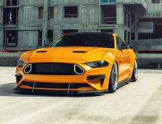 开云体育下载-当实力刺破偏见，加克波与摩纳哥火力的胜利宣言