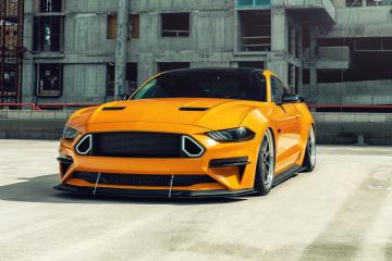 开云体育下载-当实力刺破偏见，加克波与摩纳哥火力的胜利宣言