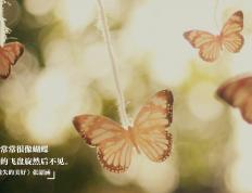 开云官网-沙漠绿茵的救赎，拉什福德一锤定音，英格兰险胜中北美劲旅