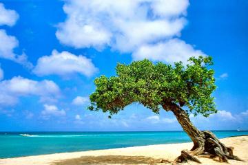 开云体育官方网站-绿茵场的加勒比海啸，当牙买加撞碎德甲堡垒，C罗在另一个战场雕刻时光