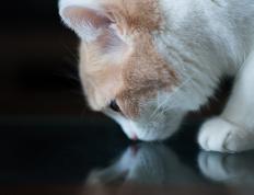 开云体育官网-引擎的轰鸣，街道上的极速与绿茵场的绝境反击