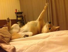 开云体育入口-战术革命还是警钟长鸣？智利队用打穿战术逼问中国足球未来