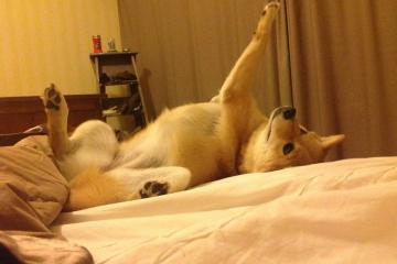 开云体育入口-战术革命还是警钟长鸣？智利队用打穿战术逼问中国足球未来