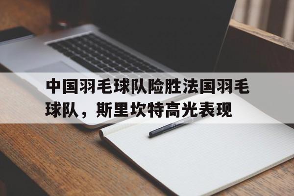 开云体育下载-关于中国羽毛球队险胜法国羽毛球队，斯里坎特高光表现的信息