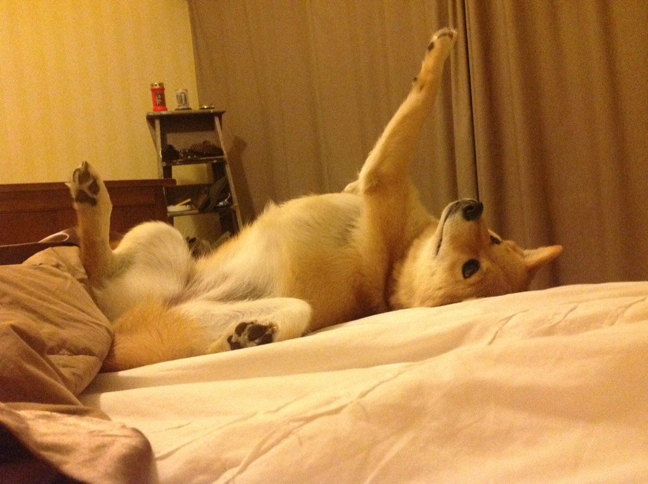 开云体育APP下载-罗德里，争冠夜的火药与缰绳