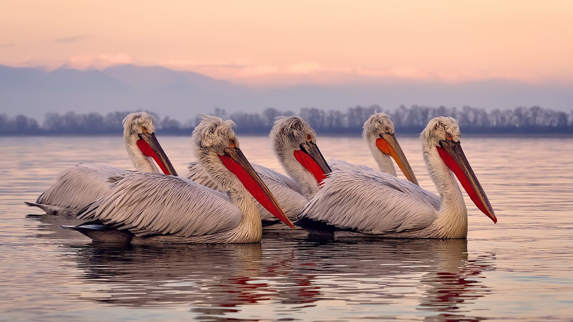 开云体育-皇马狂胜比利时新星联队，巴斯托尼成关键先生主导胜利