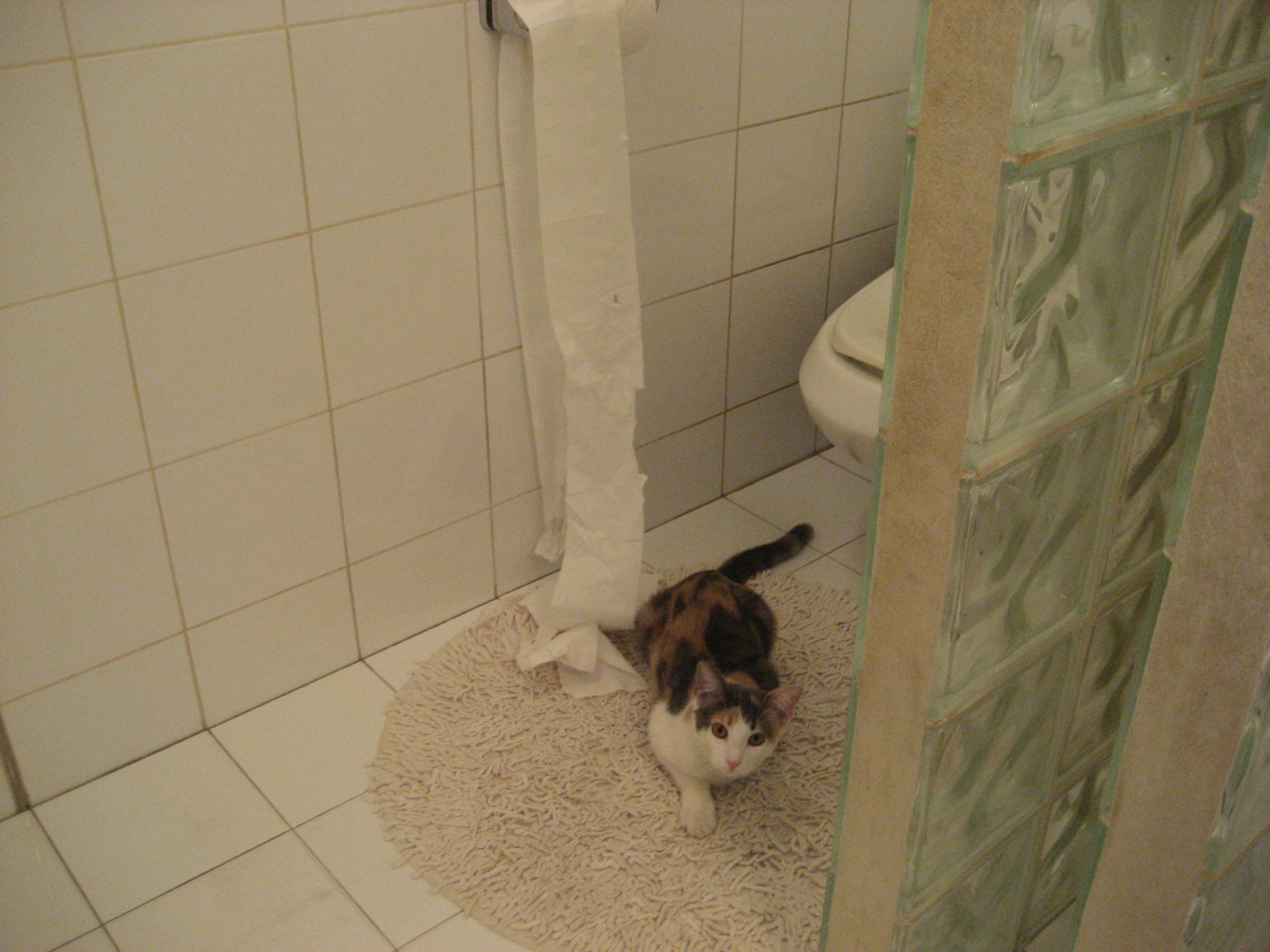 开云体育入口-赛道与球场，当终结者按下快进键