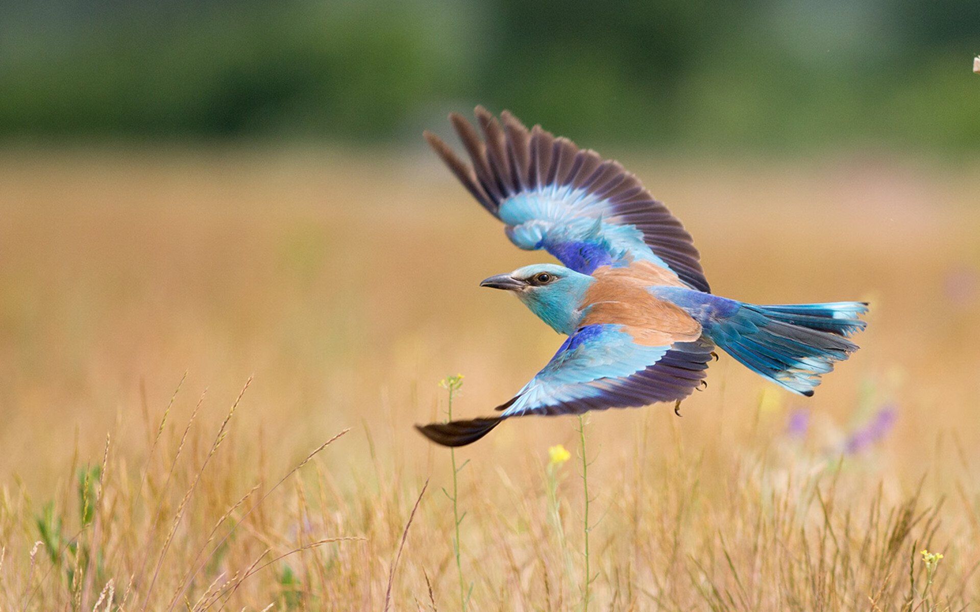 开云体育-一剑封喉！马刺淘汰快船，英格拉姆关键战不手软谱写新传奇