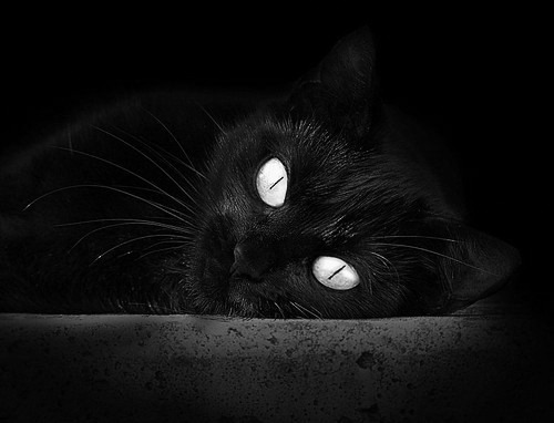 开云体育入口-北京队斩落活塞，詹姆斯带队取胜，国际篮球交流赛的辉煌时刻