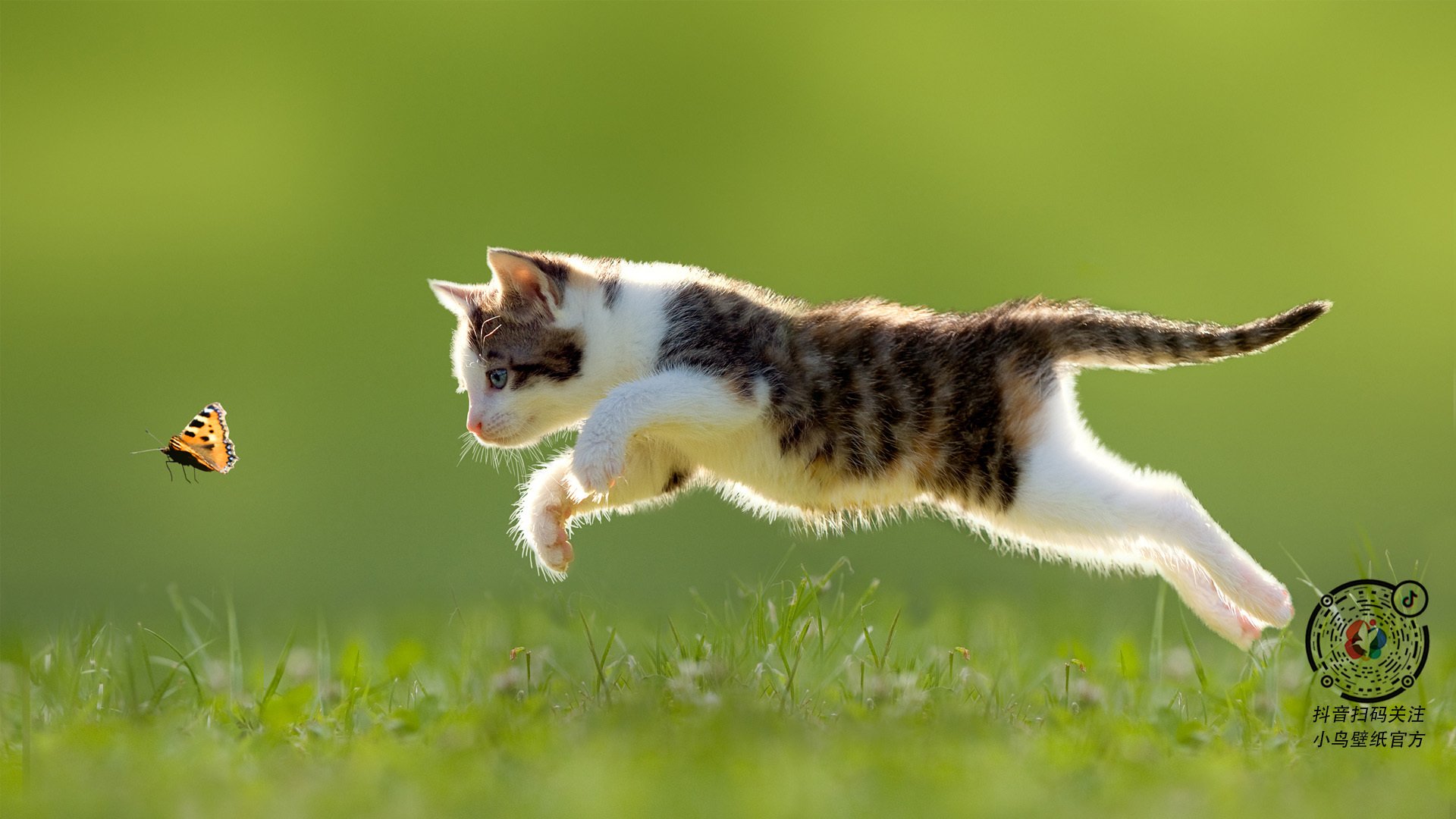 开云体育登录-跨界风暴，委内瑞拉的收割与拉什福德的NBA奇迹