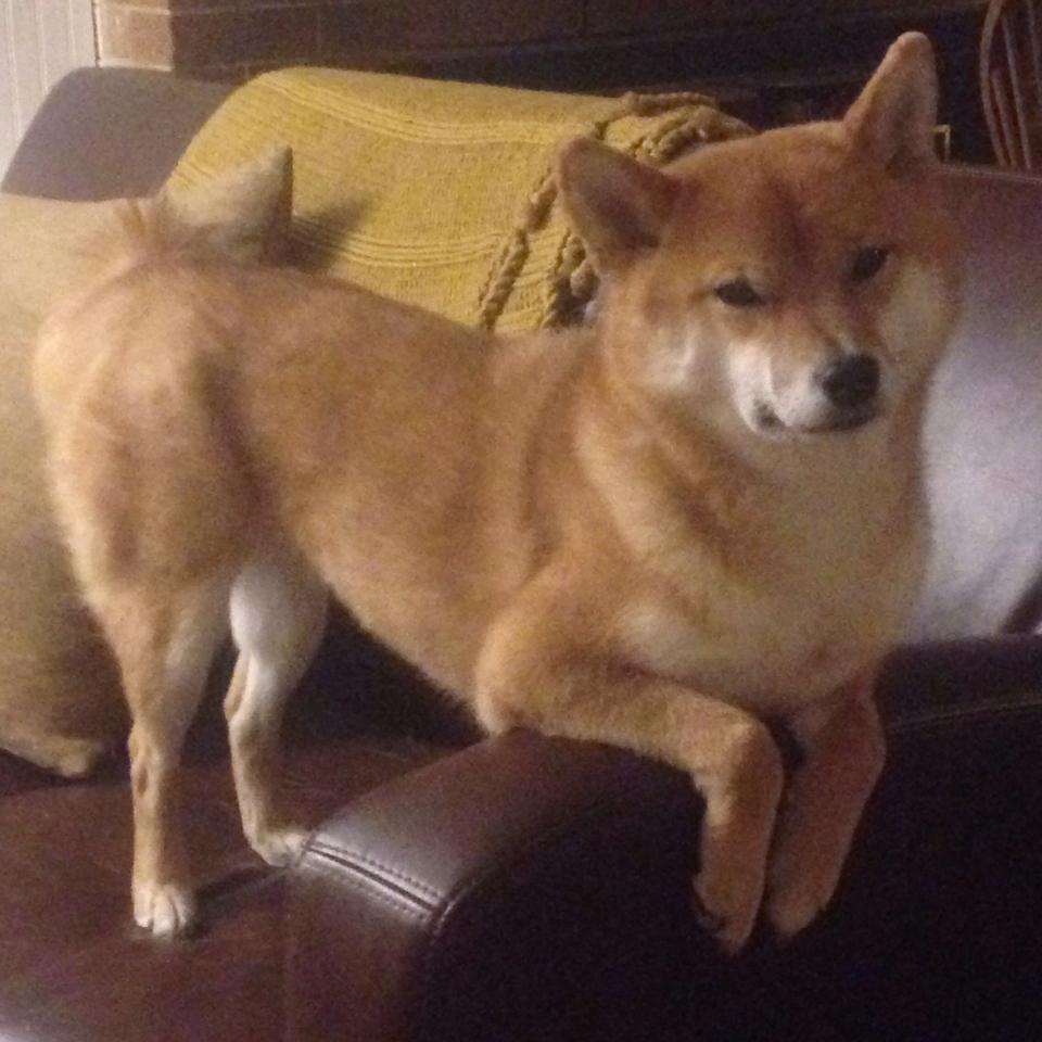 开云体育官方网站-2026世界杯之夜，基米希数据全面爆炸，德国中场统治战局