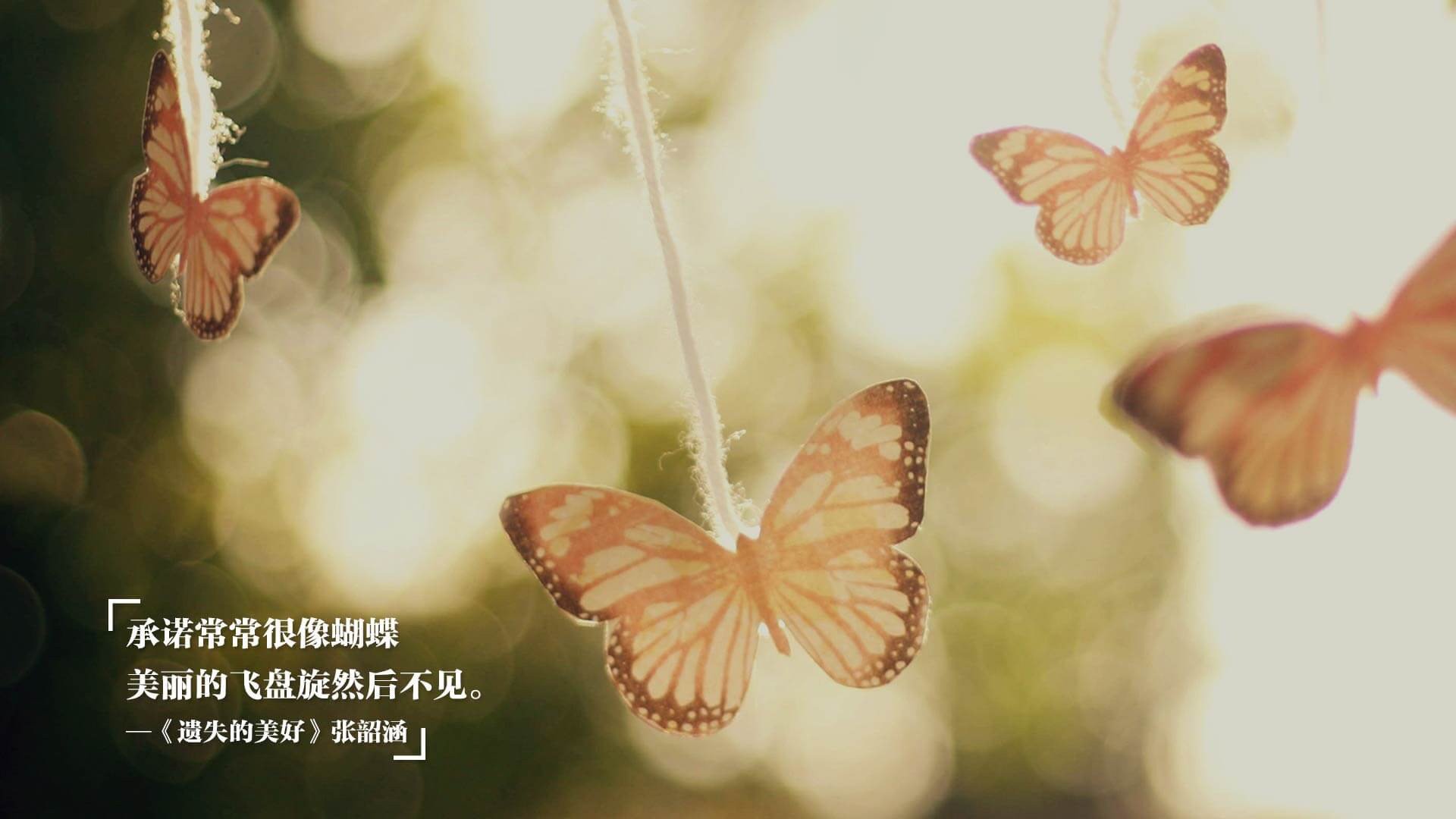 开云体育-舞台与实力，金玟哉的升华与阿尔及利亚的沉稳之道