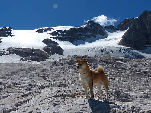 开云平台-从手术刀到精密仪器，阿坎吉的巨星光芒与委内瑞拉的体系胜利