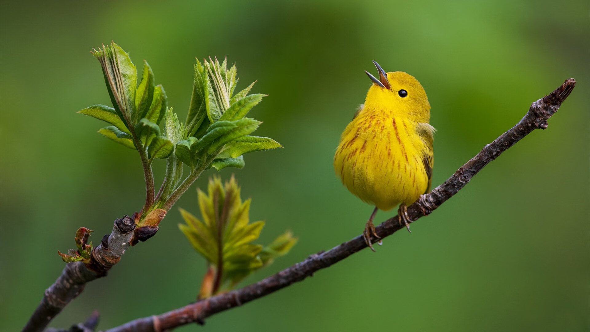 开云体育-奥纳纳临危救主！智利门神三拒绝杀铸就南美铁壁