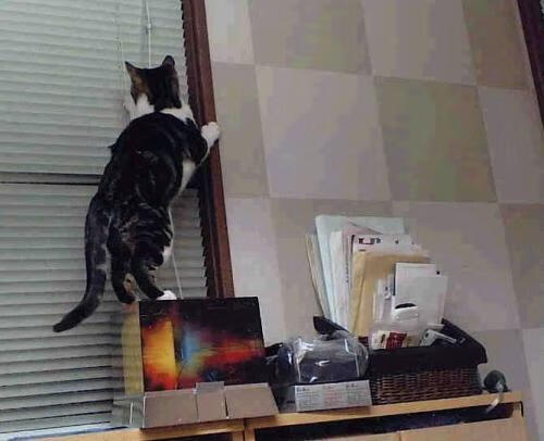 开云体育-鹰的觉醒，当东方绝杀与西方接管在同一颗心脏里搏动