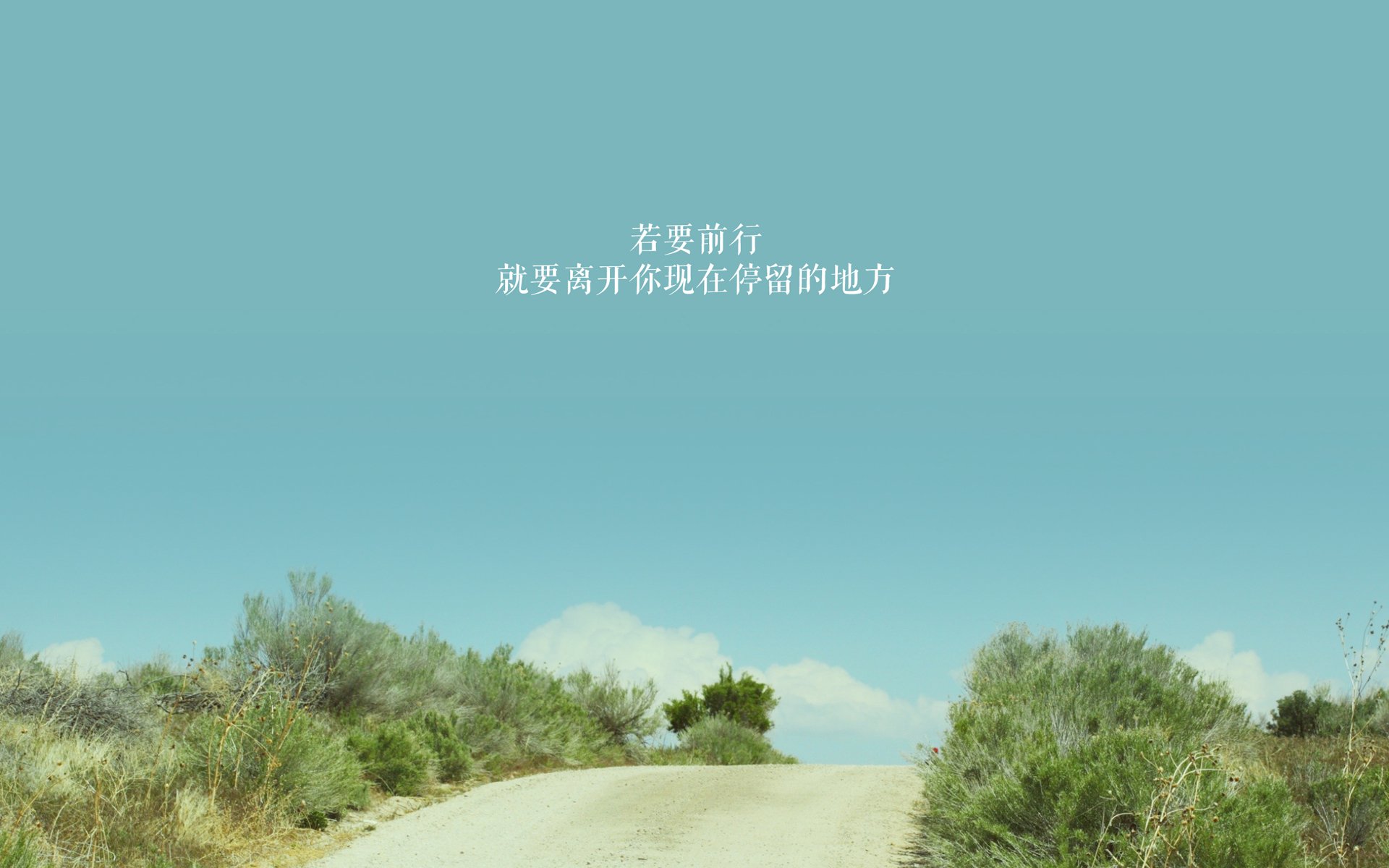 开云体育中国-定海神针！新西兰险胜卡塔尔，阿克关键回合不手软