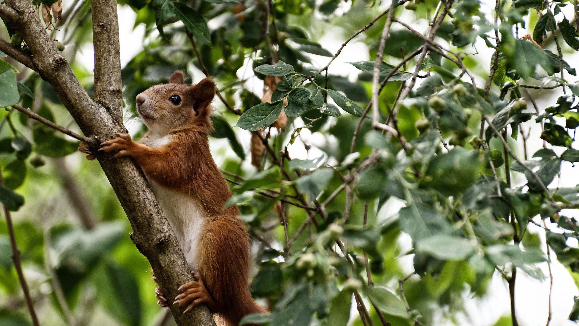 开云体育登录-亚洲风暴席卷美加墨，李刚仁破纪录之夜改写足球版图