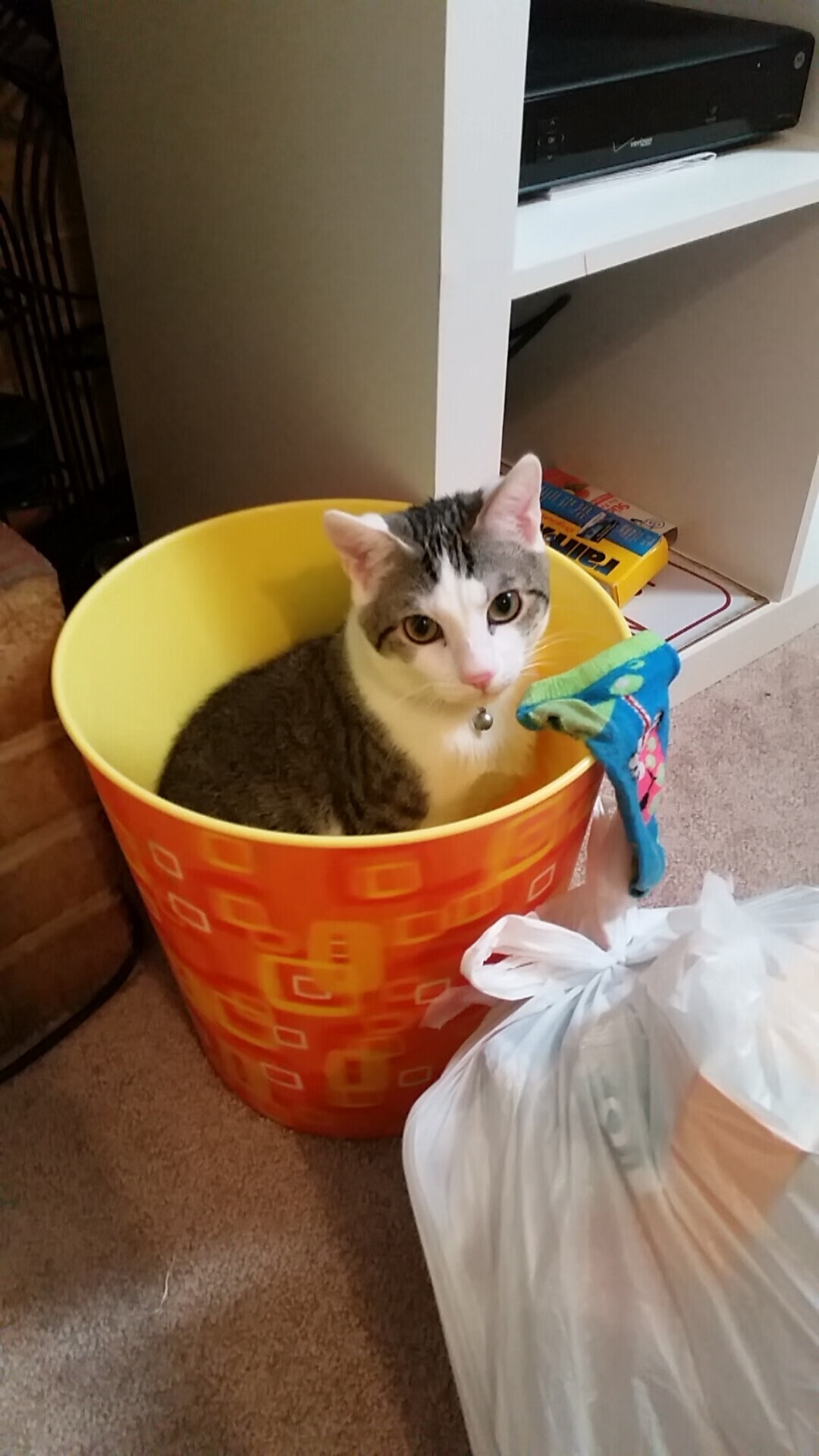 开云体育中国-哈登破茧成蝶，广厦骑士大战背后的全能统治密码