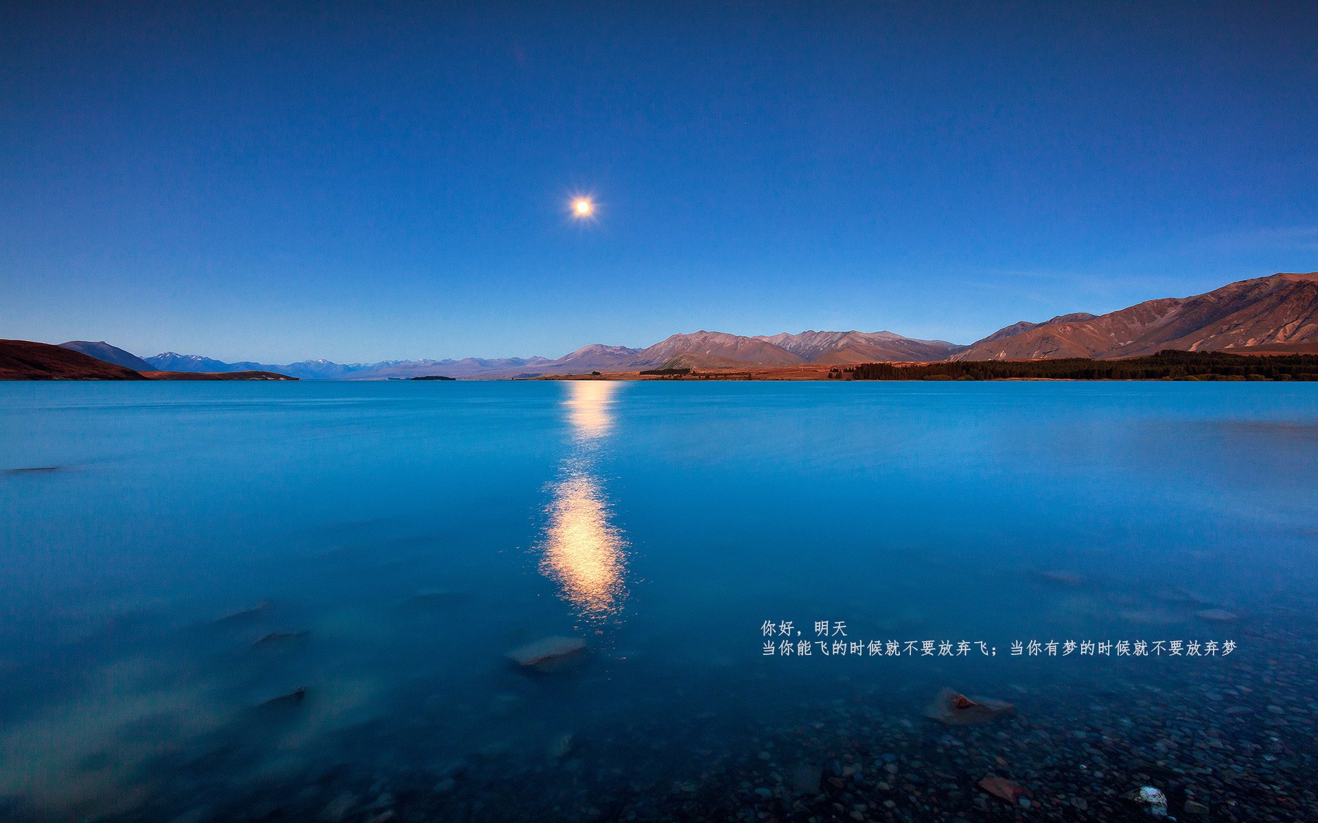 开云体育下载-狂飙的无声宣言,爱德华兹在攻防两端筑起的新长城