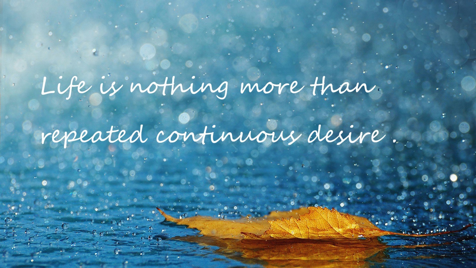 开云体育APP下载-速胜之道，中国超越法国的战略启示与若日尼奥欧冠决赛的领袖传奇