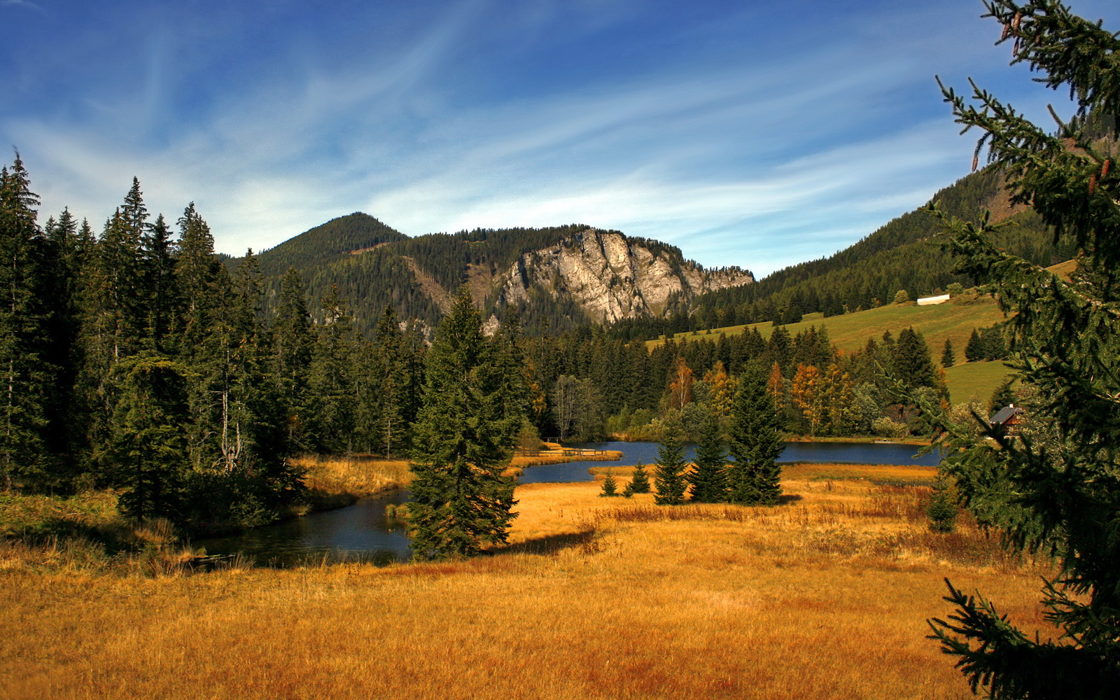 开云体育APP下载-引擎轰鸣与球场呐喊,那一夜的竞速与决断