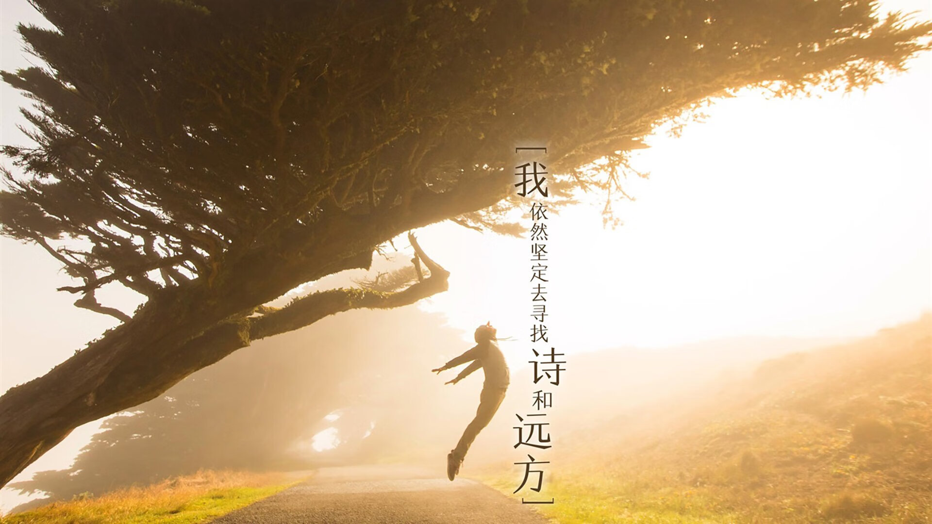 开云体育APP下载-终场哨响前的神迹,北欧寒冰击溃红黑军团,德里赫特生涯之夜铸就史诗